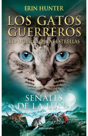 La cara de un gato a rayas de color gris y ojos azules en primer plano. En la parte inferior, un grupo de cuatro gatos en unas montañas.